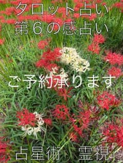 本気で占います。　鑑定書付き　タロット占い　第8の感占い　霊視　占星術のサムネイル