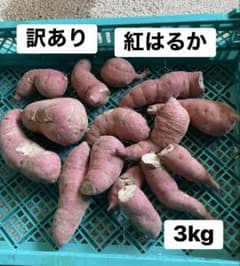訳あり　さつまいも（紅はるか）　３Kgのサムネイル