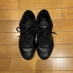 ミズノウォーキングシューズ２５cmのサムネイル