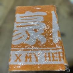 히로아카 × 요미우리 자이언츠 폭호 카츠미 타월