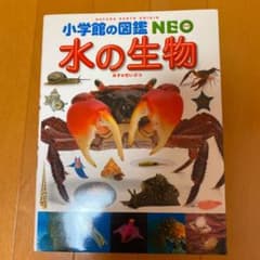 水の生物のサムネイル