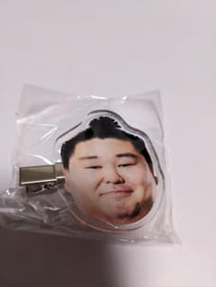 正代　大相撲ガチャ顔ヘアピンのサムネイル