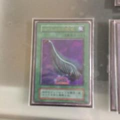 ハーピィの羽箒のサムネイル