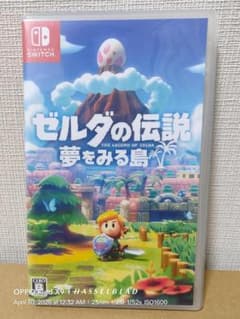 ゼルダの伝説 夢をみる島 Nintendo Switch