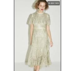 【zozo様専用】ケミカルレースフレアワンピースのサムネイル