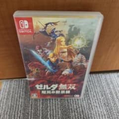 Nintendo Switch ゼルダ無双 厄災の黙示録のサムネイル