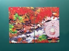ポケモンカード パートナーカード タケシ ジョーイ Autumnセットのサムネイル
