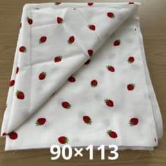 いちご柄 コットン生地のサムネイル