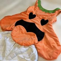 ハロウィン パンプキン 着ぐるみ コスプレ　大人用のサムネイル