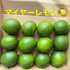 レモン　国産　マイヤーレモン　グリーンレモンのサムネイル