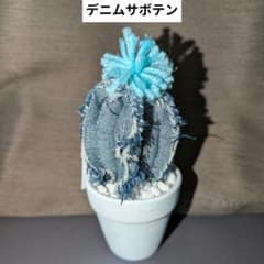 デニムサボテン Sサイズのサムネイル