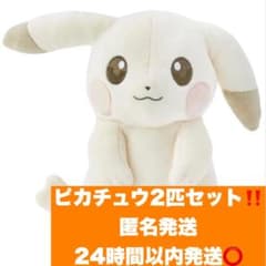 く*ん様 ぬいぐるみ ぽこ あ ポケモン うすいろピカチュウ 2点セット ぬいぐるみ ぽこ あ ポケモン ピカチュウ（うすいろ） ｜【公式