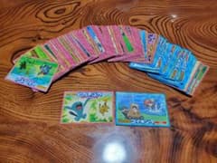 ポケモンアニメ版トップサン サーナイト アドバンスジェネレーション