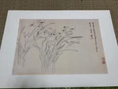 惲　壽平　水仙図（原寸大）　水墨画　清　中国　二玄社 惲 寿平 惲 壽平 水仙図（原寸大） 水墨画 清 中国 二玄社 惲 寿平 - メルカリ