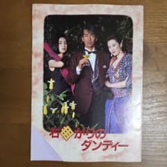 右かりのダンディー パンフレット