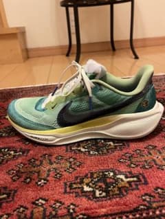 NIKE AIR ZOOM ペガサス41 SE 27cmのサムネイル