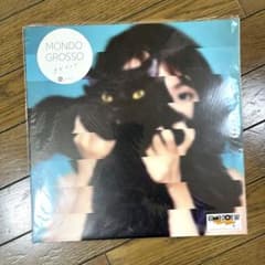 MONDO GROSSO ラビリンス LPレコード - メルカリ
