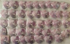 東京エイリアンズ ハート缶バッジ 撫子ライカ 缶バッジ 40個 シール25