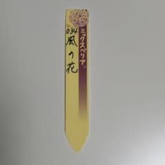 034 風の花 ミックスベリア 札