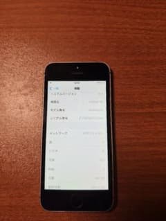 Apple iPhone SE 第一世代　64GB 本体　超美品のサムネイル