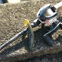 今日限定特別特価！13メタニウム！のサムネイル