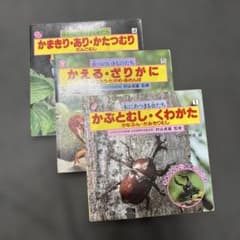 子供のカラー図鑑シリーズ 3冊セット 昆虫 生き物のサムネイル