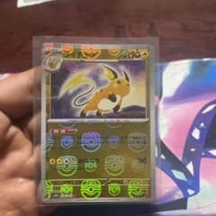ライチュウマスターボールミラーのサムネイル