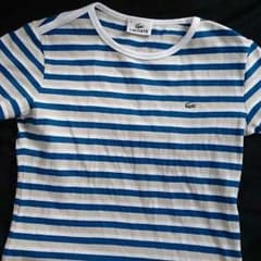 ラコステTシャツのサムネイル