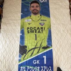 徳島ヴォルティス ホセ アウレリオ スアレス 応援タペストリーのサムネイル