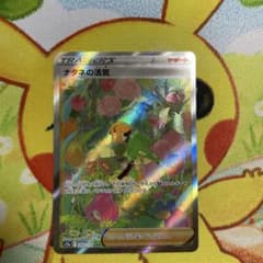 ナタネの活気SARのサムネイル