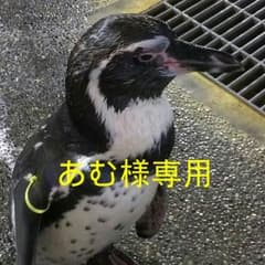 あむ様専用のサムネイル