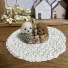 羊毛フェルト ミニバスケットに入ったトイプードル - メルカリ