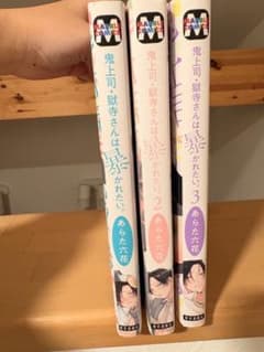 鬼上司、煩いさんはかまってほしい 3巻セットのサムネイル