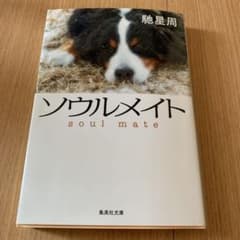 ソウルメイト 馳星周のサムネイル
