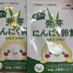 発芽にんにく卵黄 GARLIC SPROUT 100% 九州産 完全無添加のサムネイル