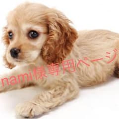 nami様 専用のサムネイル