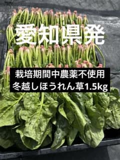 新鮮 ほうれん草 1.5キロのサムネイル