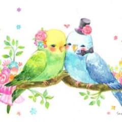 まめちょこ様♡専用ページのサムネイル
