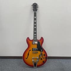 セミアコ】IRIN アイリーン ホロウFホール22フレット トレモロアーム