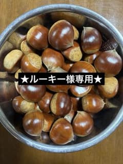★ルーキー様専用★山口県産 栗 1kgのサムネイル