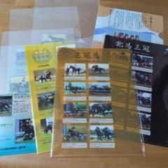 競馬グッズ　クリアファイル23枚　競馬　JRA JRA 競馬博物館 クリアファイル 8枚セット 顕彰馬 三冠馬 牝馬三冠