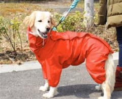 犬服 ロンパースのサムネイル
