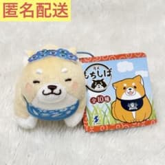 忠犬もちしば 花かんむりスクっとぷち ぬいぐるみ マスコット プライズ