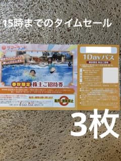 タイムセール　春秋限定　サマーランド　プール　チケット　フリーパス　3枚xtのサムネイル