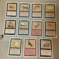 m24377079159_1.jpg?1719399376