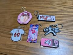 値下げ⚠️ 東北楽天ゴールデンイーグルス 内星龍 選手 グッズセット #69 東北楽天ゴールデンイーグルス 内星龍選手 グッズ6点セット - メルカリ