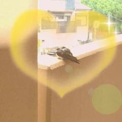 kusunoki様専用のサムネイル