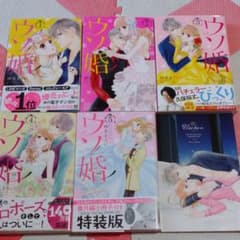 gamakichi様専用   ウソ婚のサムネイル