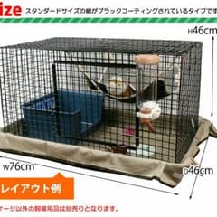 aloha59様専用 フェレット ゲージ✨のサムネイル
