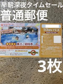 タイムセール　春秋限定　サマーランド　プール　チケット　フリーパス 3枚nrのサムネイル